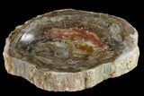 Colorful Polished Petrified Wood Dish - Madagascar #117289-1